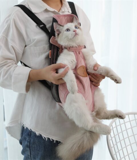 Portable Cat Backpack For Outing