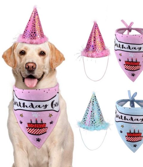 Pet Birthday Party Hat