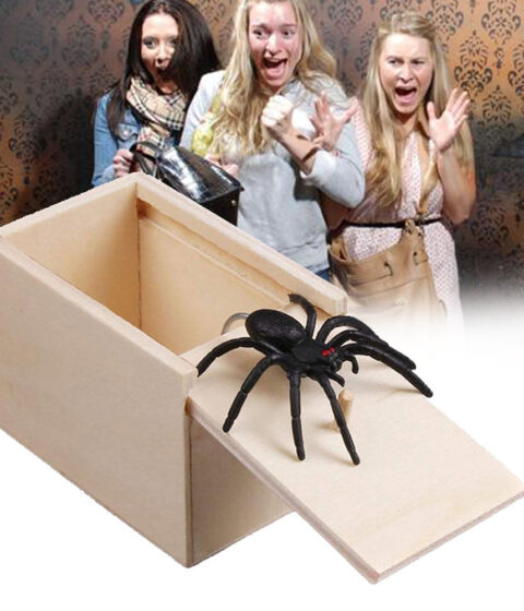 Prank Spider Wooden Scare Box