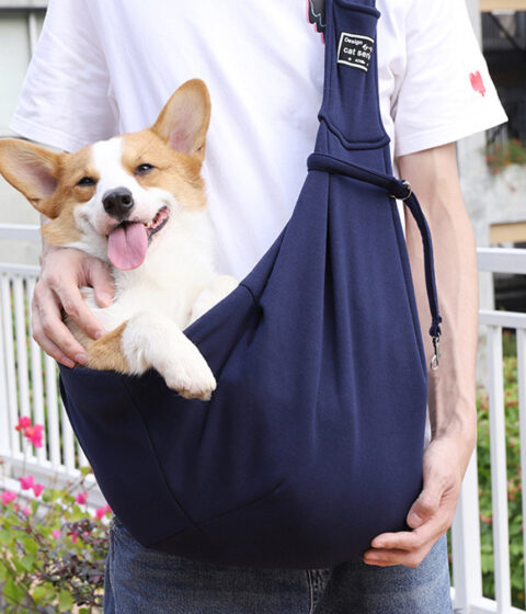 Pet Carrier Outdoor Bag