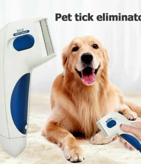 Pet Terminator Brush Anti Removal Kill Lice Cleaner